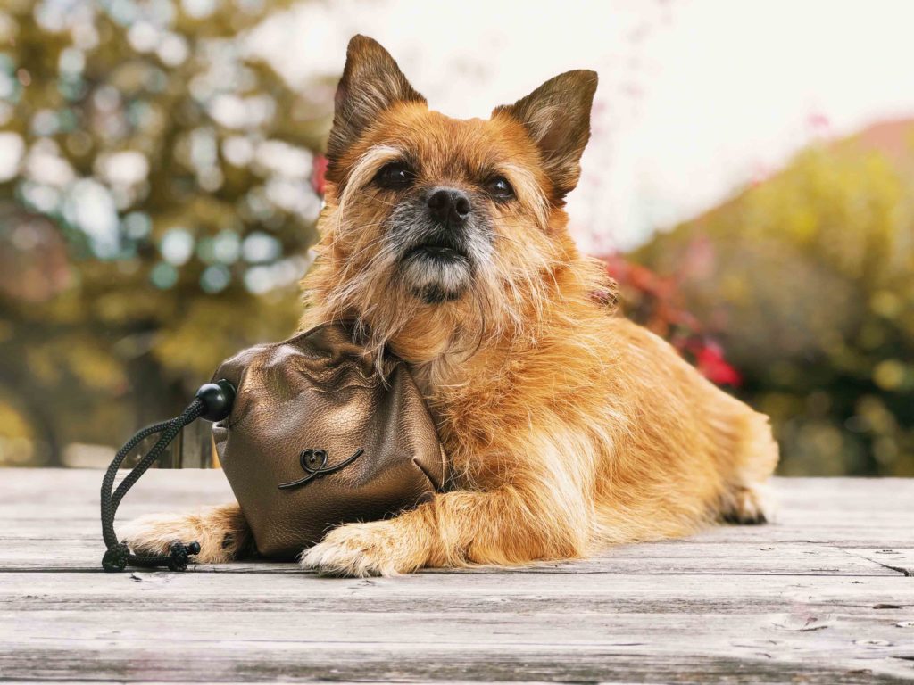Gassitasche Futterbeutel Hund Bellovie