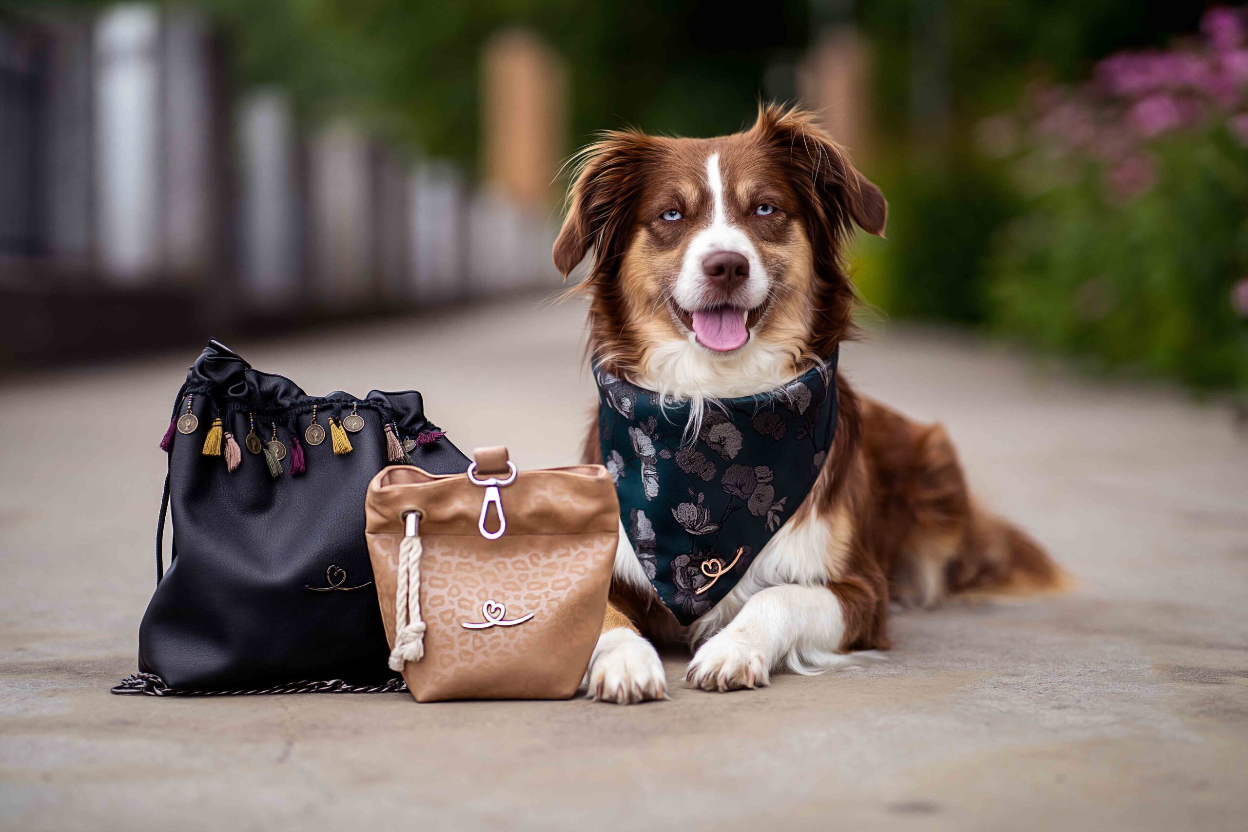 Gassitasche Futterbeutel Hund BellovieI
